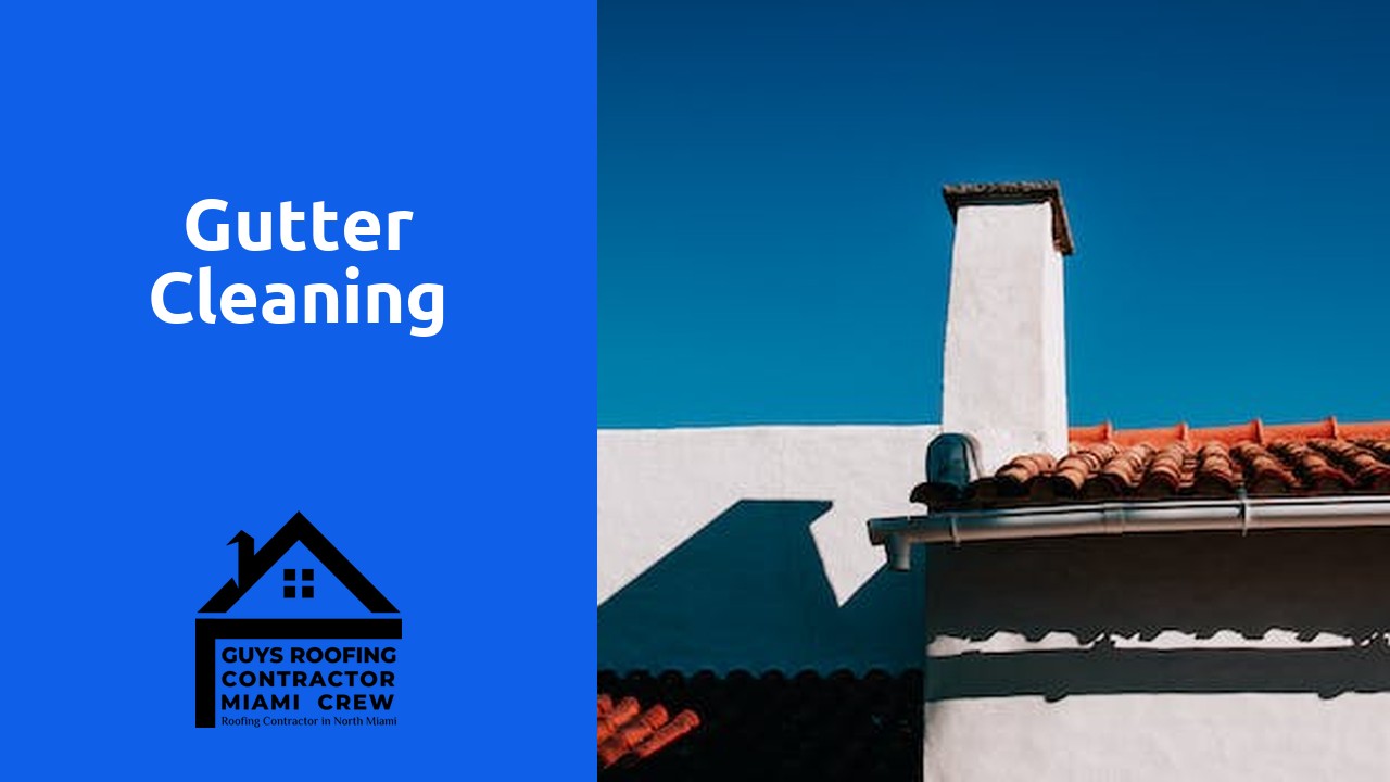 Gutter cleaning